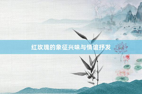 红玫瑰的象征兴味与情谊抒发