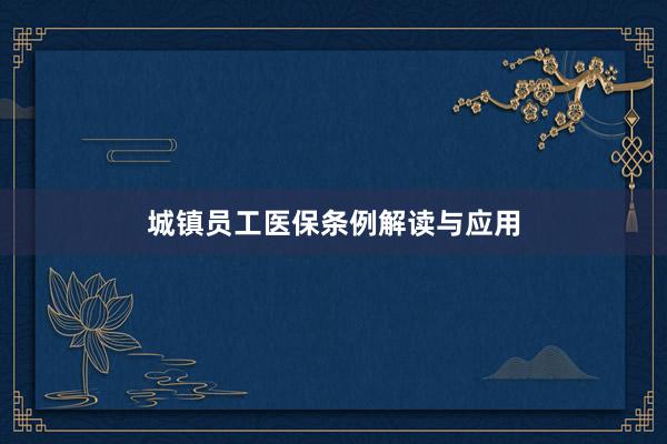 城镇员工医保条例解读与应用