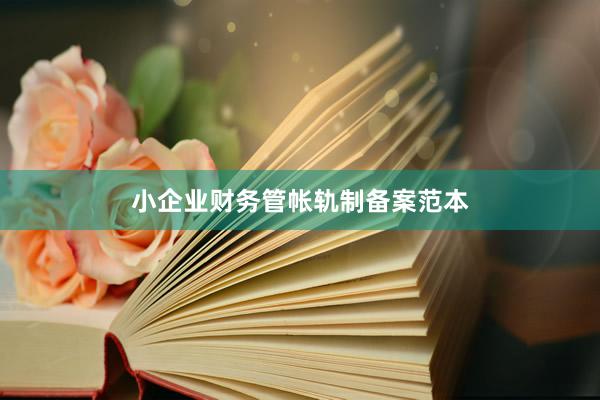 小企业财务管帐轨制备案范本