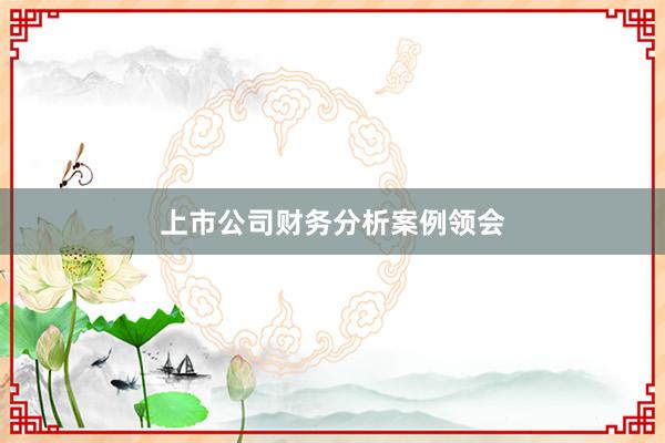 上市公司财务分析案例领会